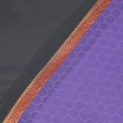 Combinaison Fastskin Femme LZR Pure Intent dos ouvert Purple Reign