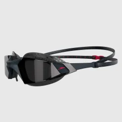 Lunettes de natation Aquapulse Pro Gris